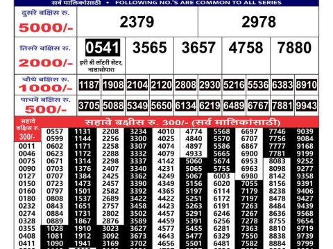 Today Lottery Sambad