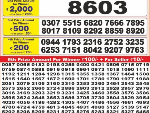 Today Lottery Sambad