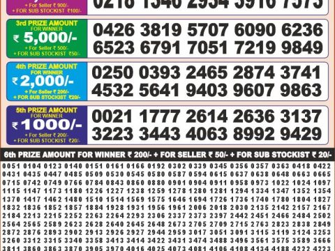 Today Lottery Sambad