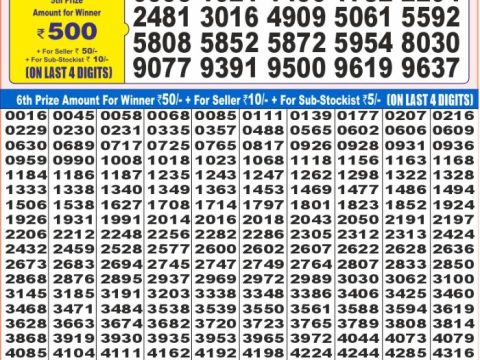 Today Lottery Sambad