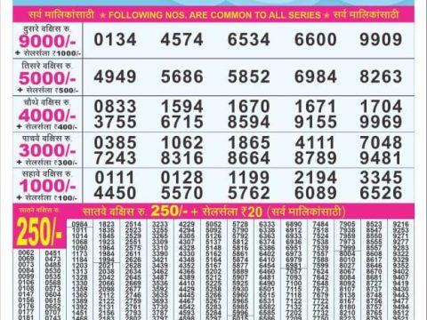 Today Lottery Sambad