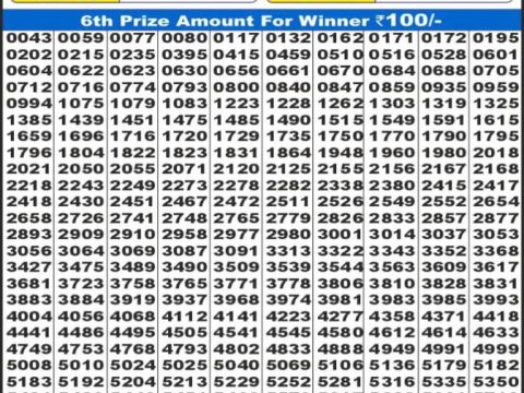 Today Lottery Sambad