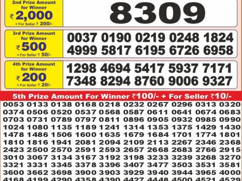 Today Lottery Sambad