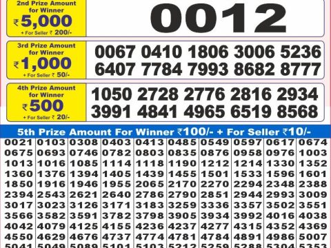 Today Lottery Sambad
