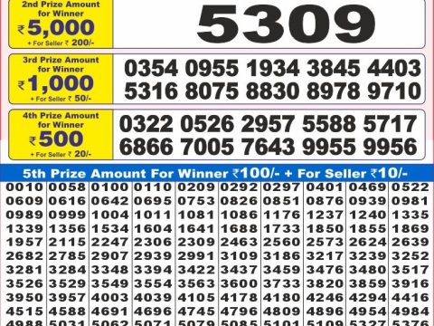 Today Lottery Sambad