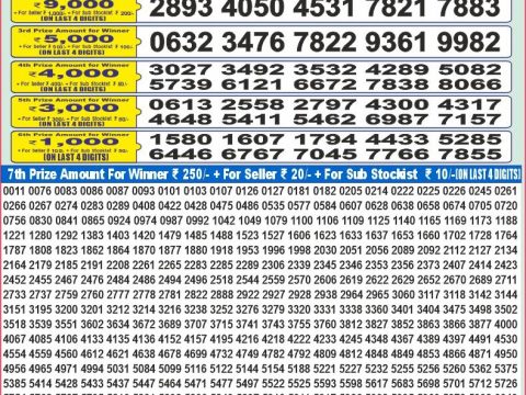 Today Lottery Sambad