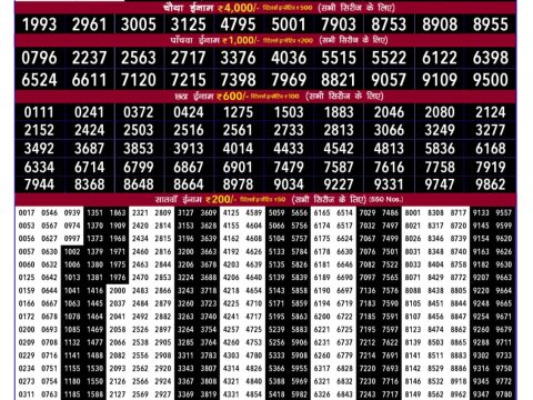 Today Lottery Sambad