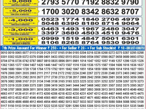 Today Lottery Sambad