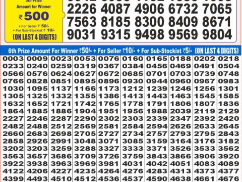Today Lottery Sambad