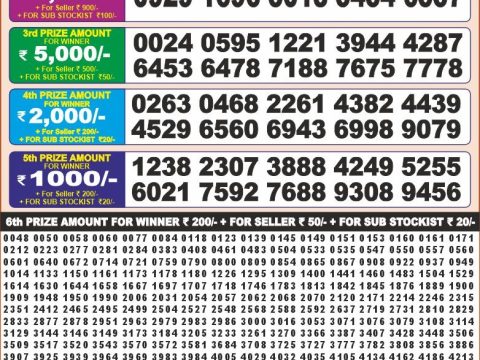 Today Lottery Sambad