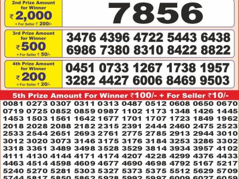 Today Lottery Sambad