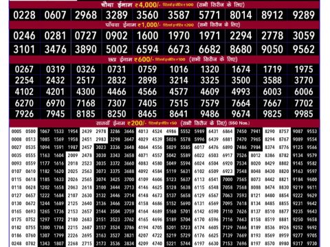 Today Lottery Sambad