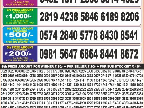 Today Lottery Sambad