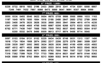 Samrudhi Lottery Result Today SM 32 | Kerala Lottery