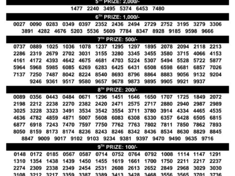 Today Lottery Sambad