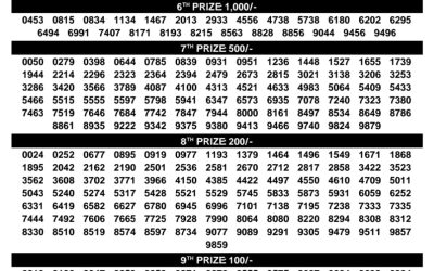 Lottery Sambad Today Samrudhi Lottery SM-40 Result Today 01.02.2026