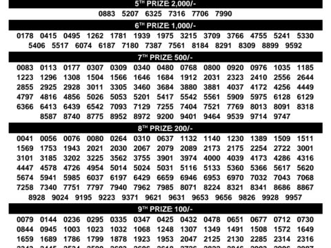 Today Lottery Sambad
